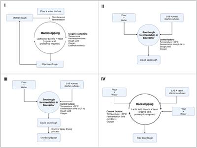 Role of lactic acid bacteria and yeasts in sourdough fermentation during breadmaking: Evaluation of postbiotic-like components and health benefits